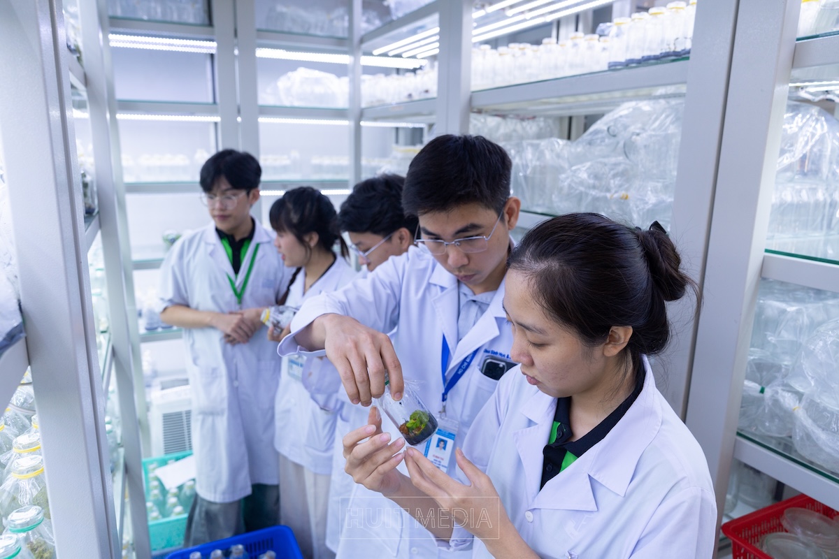 Công nghệ Sinh học – Khi sự sống trở thành công nghệ của tương lai