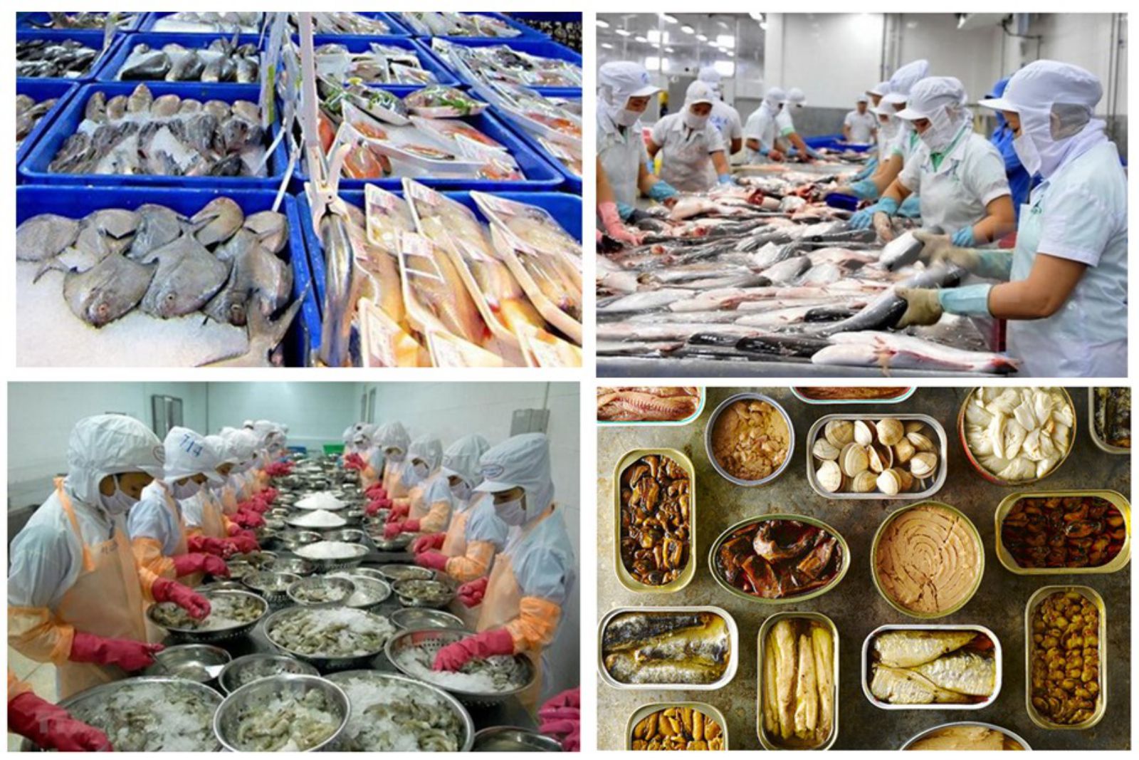 Công nghệ chế biến thủy sản “bắt nhịp xu hướng xanh, dẫn đầu chuỗi giá trị toàn cầu”